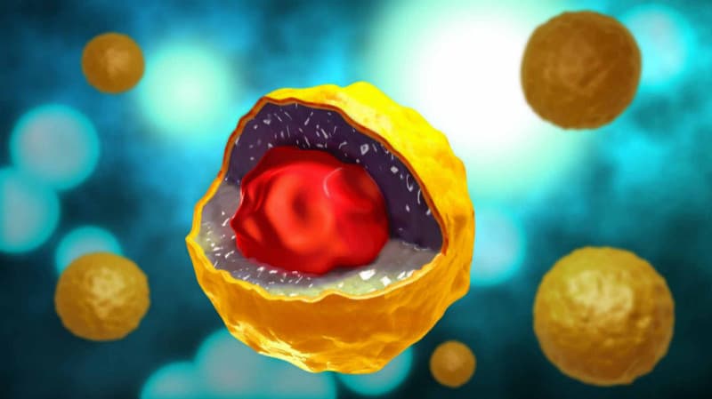 Chlamydia - Causes, Symptoms and Treatment Options | Narayana Health Chlamydia - Causes, Symptoms and Treatment Options | Narayana Health