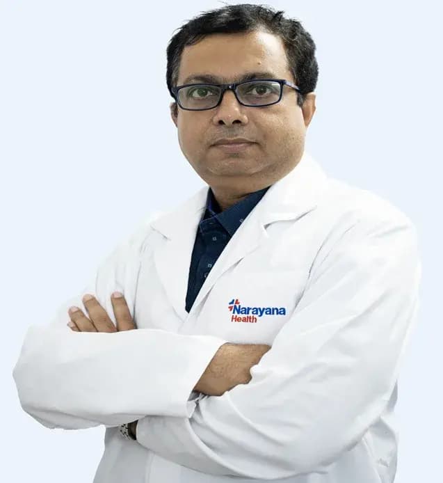 Dr. Saibal Mishra