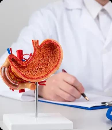 Gastro Sciences