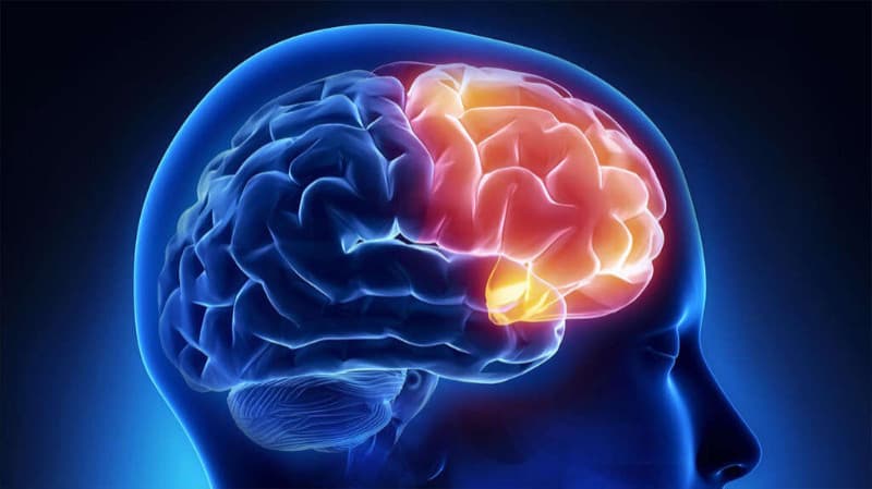 Brain Disorders - Causes, Symptoms and Treatment Options